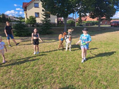 WhatsApp Image 2024-06-24 at 21.36.57 (2)